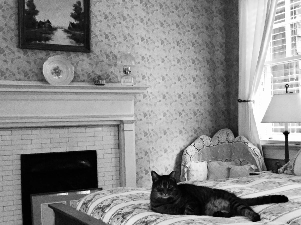 Inman Park Bed And Breakfast Atlanta Dış mekan fotoğraf